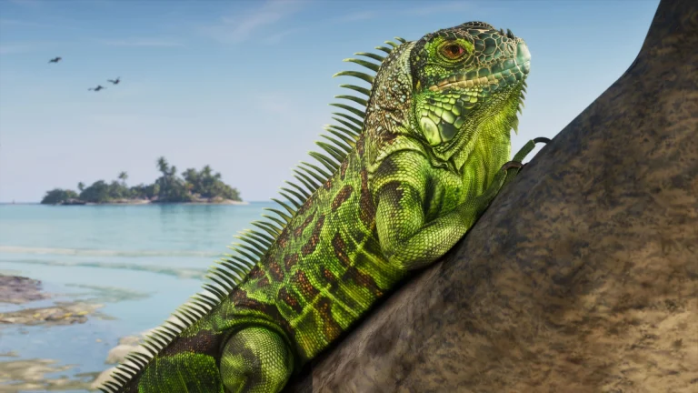 GTA VI füllt Leonida mit mehr als 170 Tierarten und Kategorien für seltene Entdeckungen
